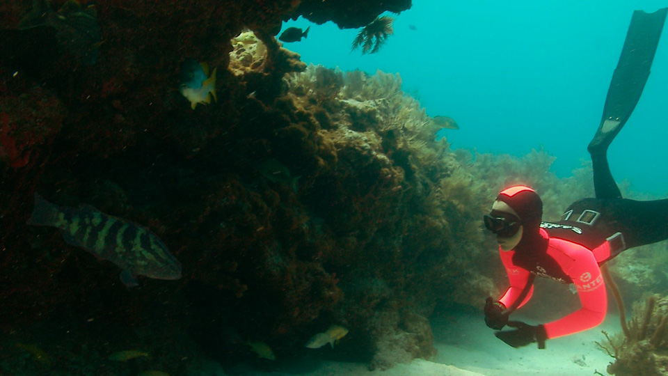 0512FrenchReef