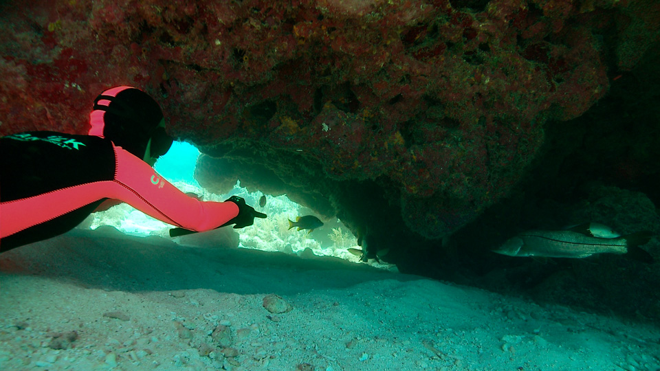 0512FrenchReef3