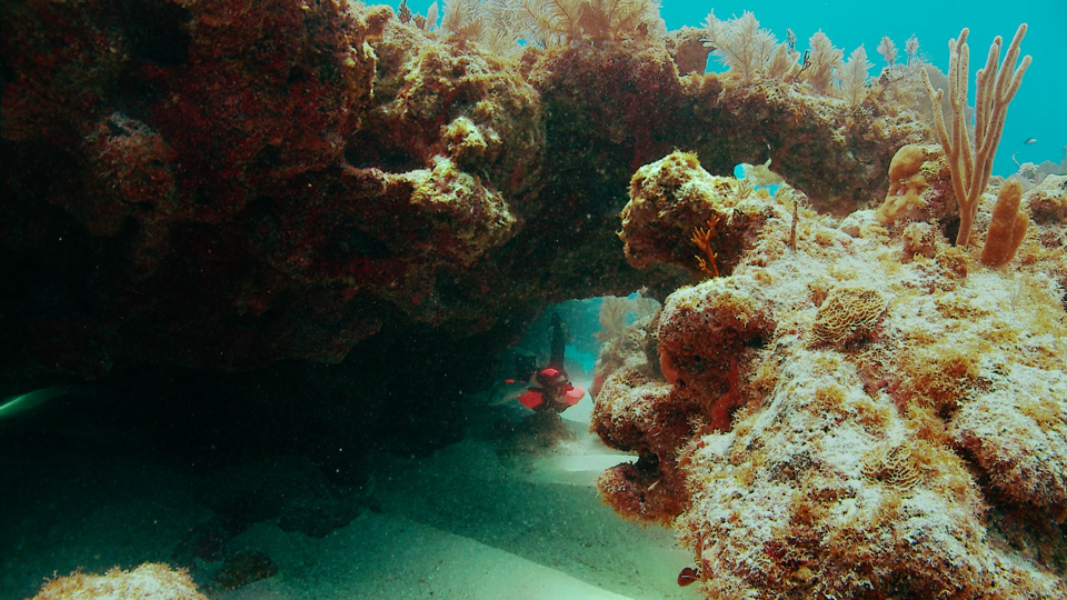 0512FrenchReef5
