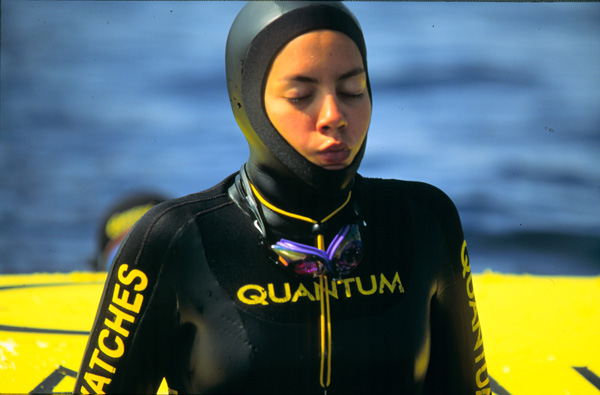 Predive002